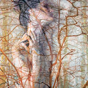 Attune, Giclee Print
