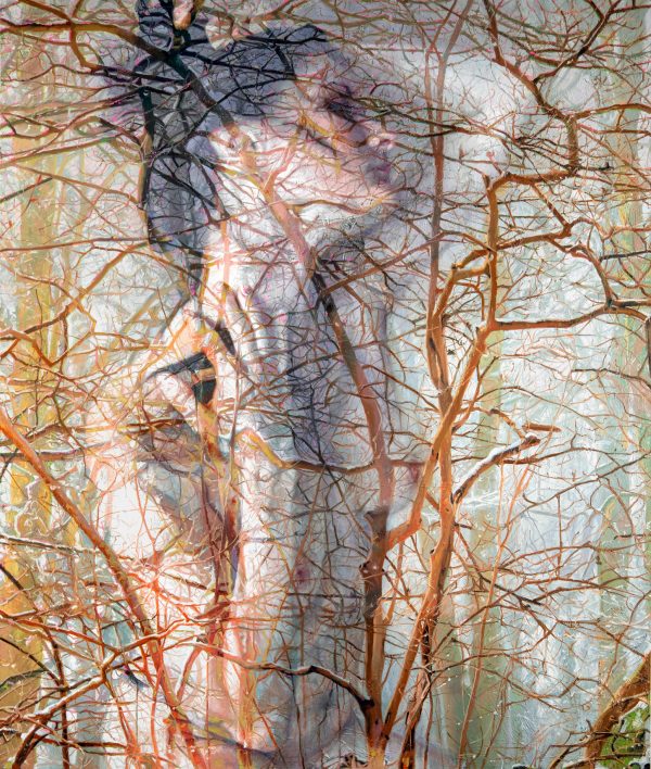 Attune, Giclee Print