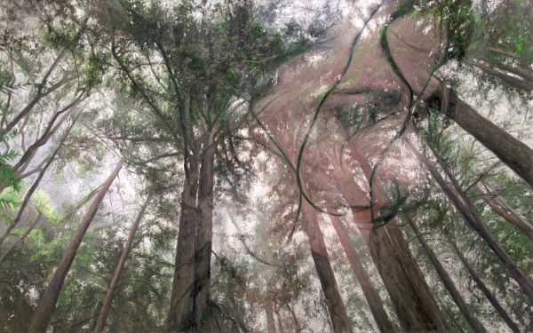 Become, Giclee Print