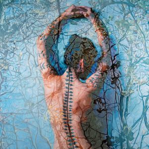 Daphne, Giclee Print