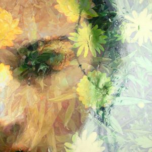 Nexus, Giclee Print